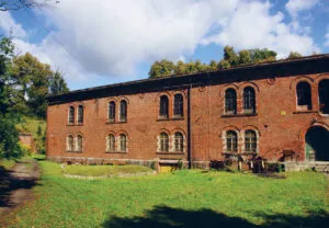 Koszarowiec fortecznego śródszańca