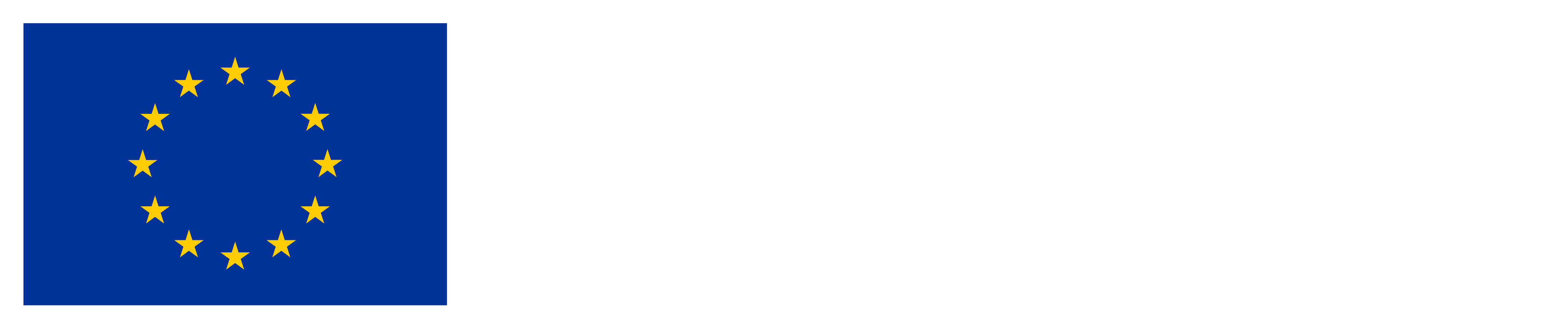 Dofinansowane przez Unię Europejską — informacje o projekcie FEnIKS